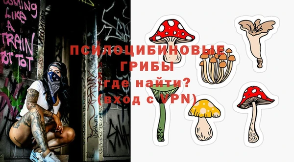тгк Алексин