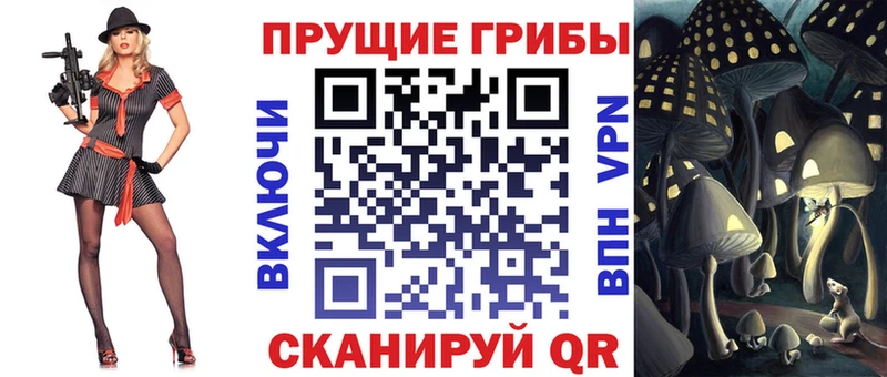 наркота  Черемхово  omg ссылка  Галлюциногенные грибы MAGIC MUSHROOMS 