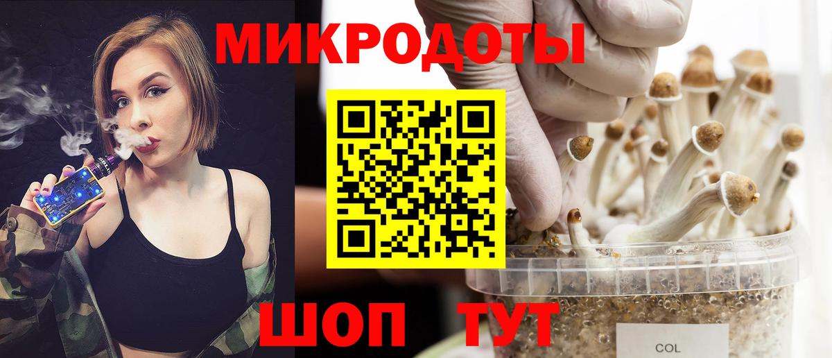 Галлюциногенные грибы Psilocybine cubensis Черемхово