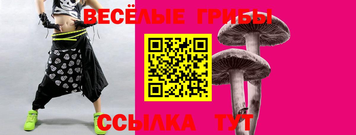 Черемхово  Псилоцибиновые грибы Psilocybine cubensis  Псилоцибиновые грибы Magic Shrooms  Вход с VPN 